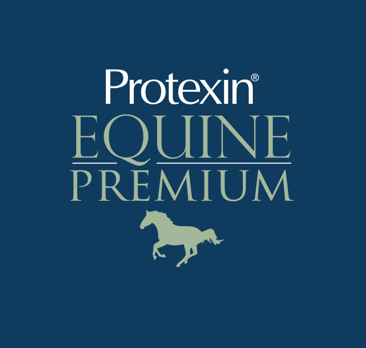 Protexin Equine Premium täydennysrehut