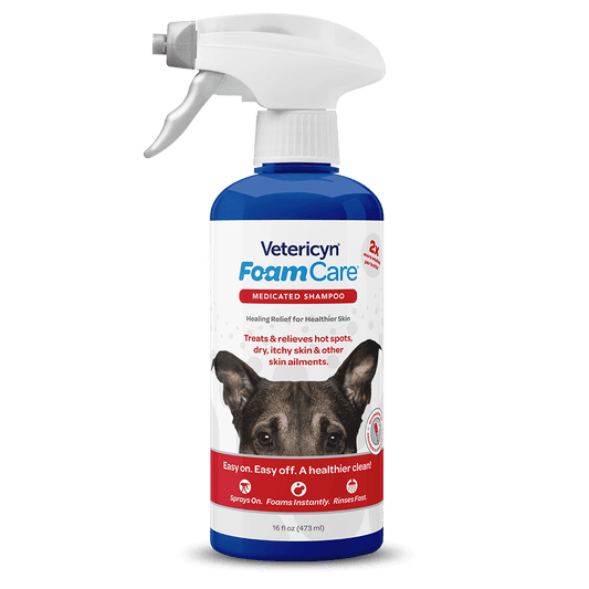 Foam Care pesuvaahto ongelmaiholle 473 ml