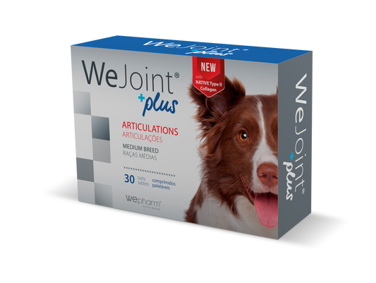 WeJoint Plus Medium Breed (10-25 kg)