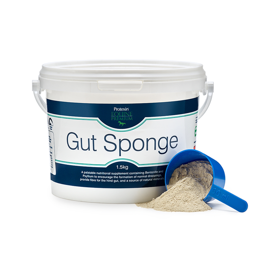 Gut Sponge 1,5 kg