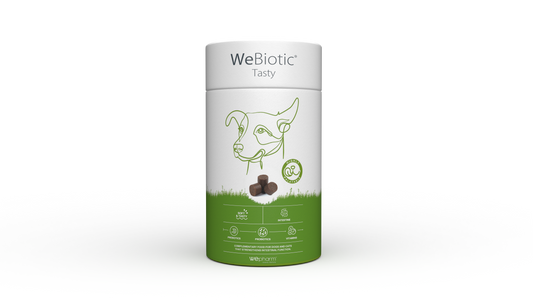 WeBiotic TASTY soft-chews 30 kpl